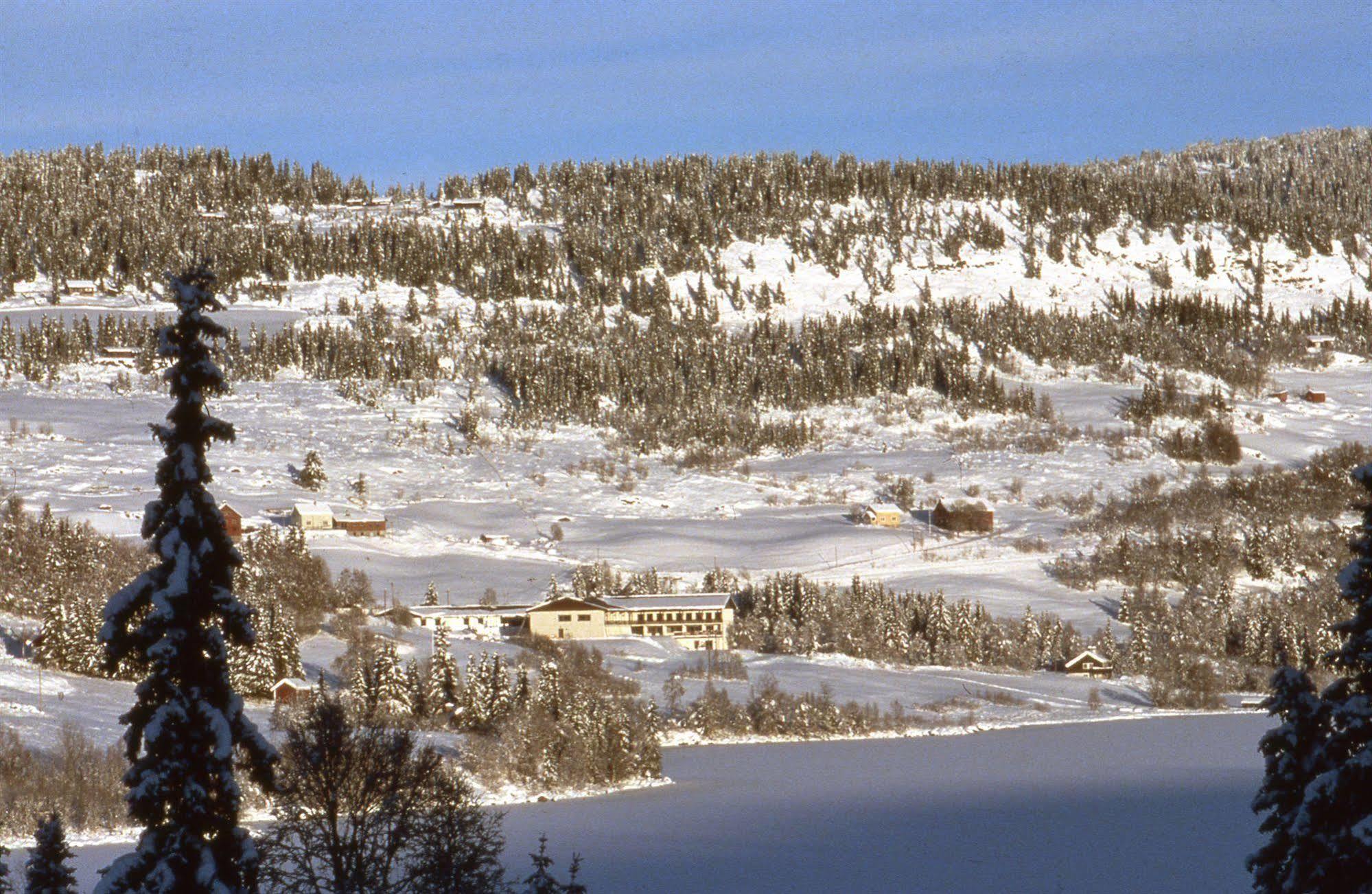 Valdres Hoyfjellshotell Steinsetbygdi Extérieur photo