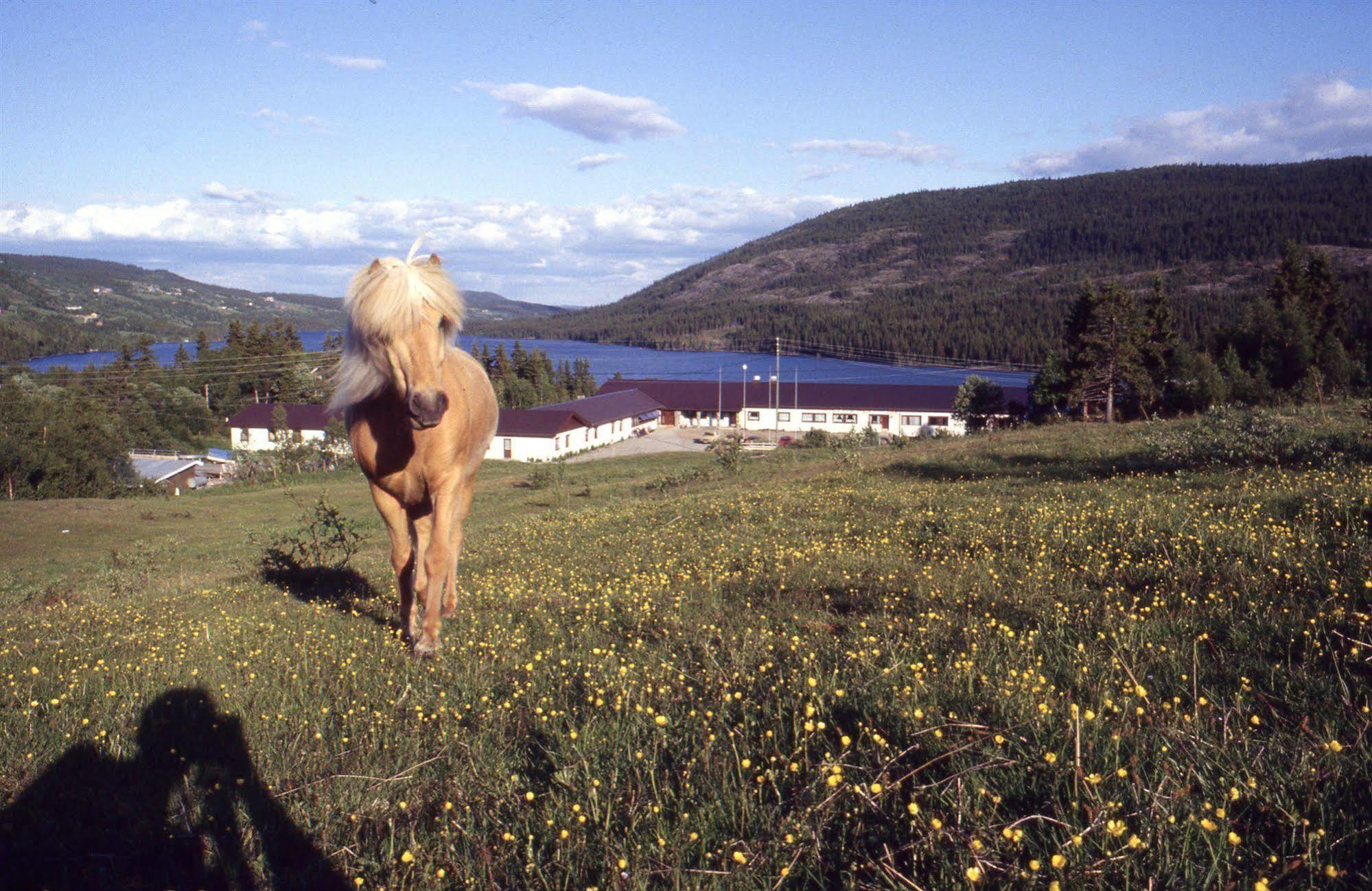 Valdres Hoyfjellshotell Steinsetbygdi Extérieur photo