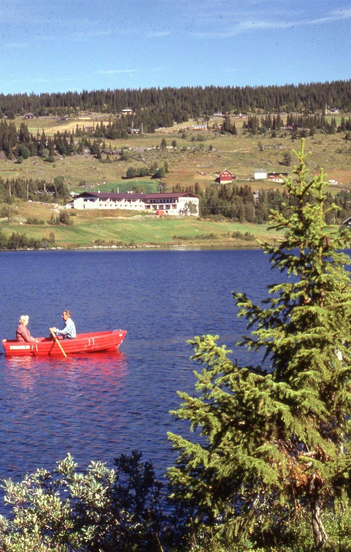 Valdres Hoyfjellshotell Steinsetbygdi Extérieur photo